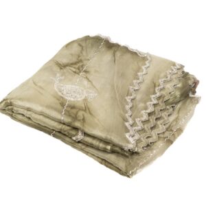 Olive Chamki Saree