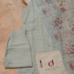 Pastel Green Embroidered Suit Set